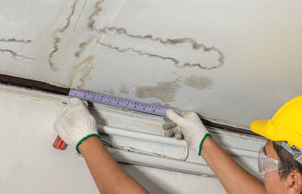 Reliable Water Damage contractor in Buchanan, VA by Water Damage Irwin
